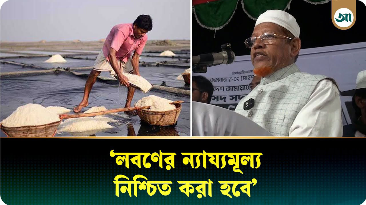কুতুবদিয়ায় প্রথম পথসভায় হামিদুর রহমান আযাদ