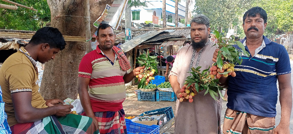 গাংনীর বাজারে উঠেছে অপরিপক্ব লিচু, বিক্রি হচ্ছে চড়া দামে