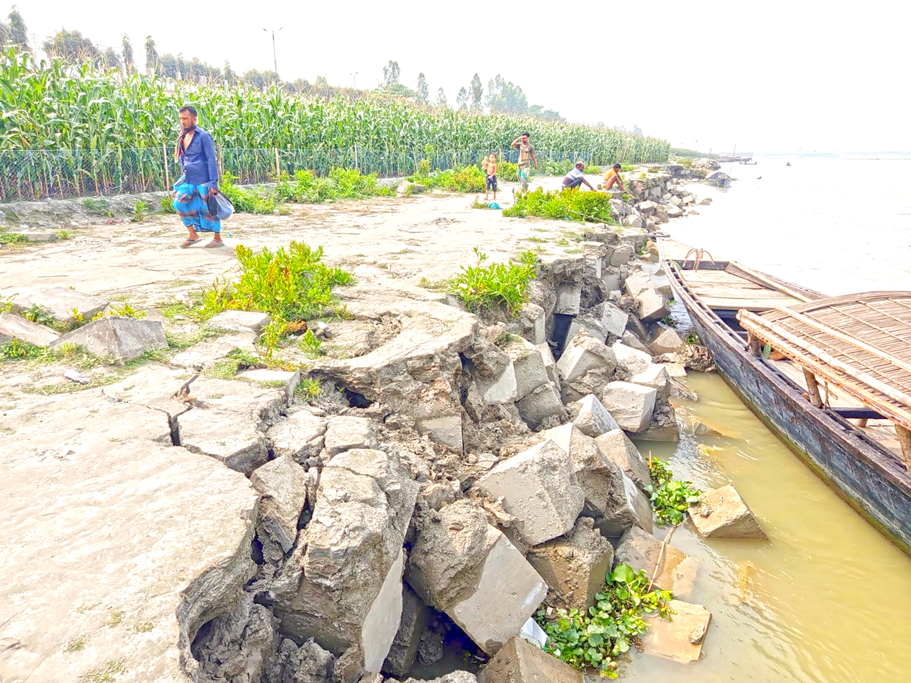 গাইবান্ধার ফুলছড়ি: ব্রহ্মপুত্রে বিলীনের পথে ফসলি জমি, টার্মিনাল
