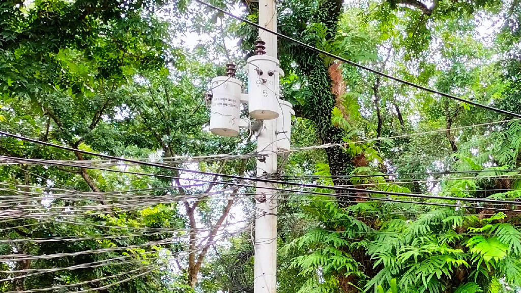 ভূরুঙ্গামারীতে অসহনীয় লোডশেডিং: ভোগান্তিতে এইচএসসি পরীক্ষার্থী ও সাধারণ মানুষ