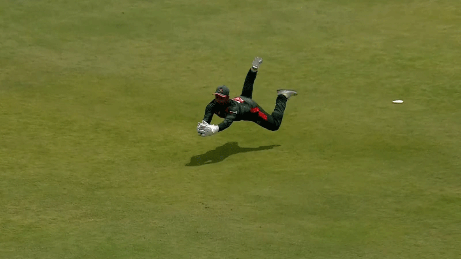 লিটন যেন বাজপাখি