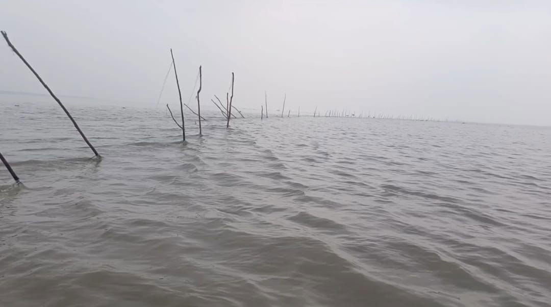 যুবদলের দুই নেতার নিয়ন্ত্রণে মেঘনায় চলছে মাছের পোনা ধ্বংসযজ্ঞ