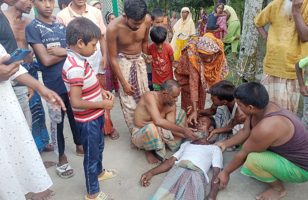 মাদকসহ ছেলে গ্রেপ্তার, ফাঁসানোর অভিযোগে দিনমজুরের গরু নিয়ে গেলেন বাবা