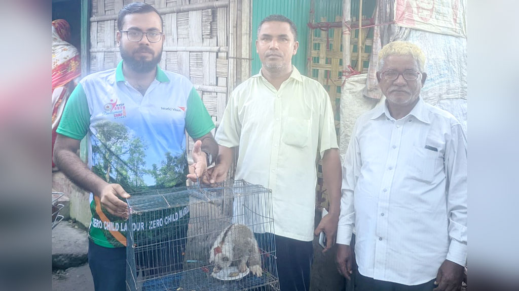 লোকালয়ে লজ্জাবতী
