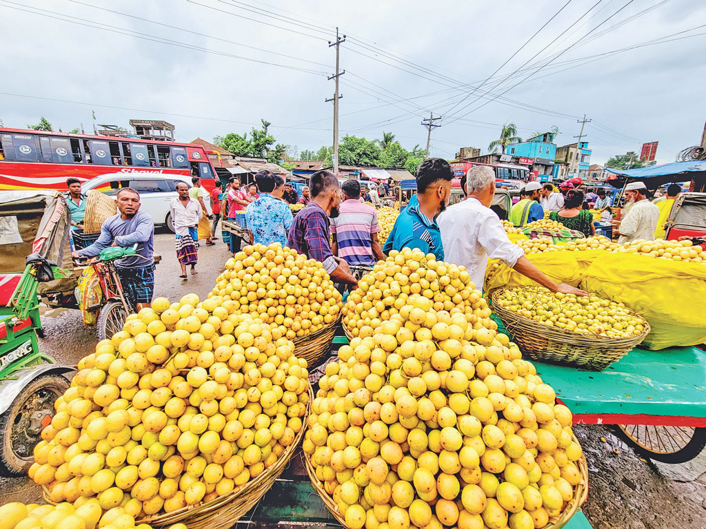 নরসিংদীর মরজাল: লটকনে কোটি টাকার বাণিজ্য