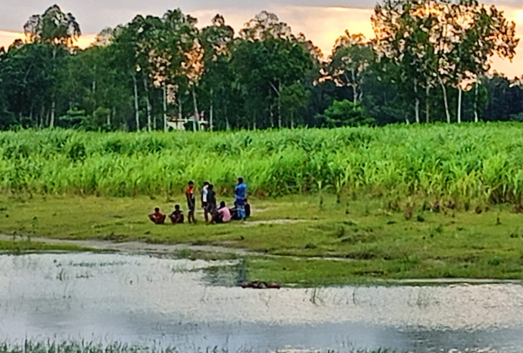 হলহলিয়া নদী থেকে নারীর অর্ধগলিত লাশ উদ্ধার