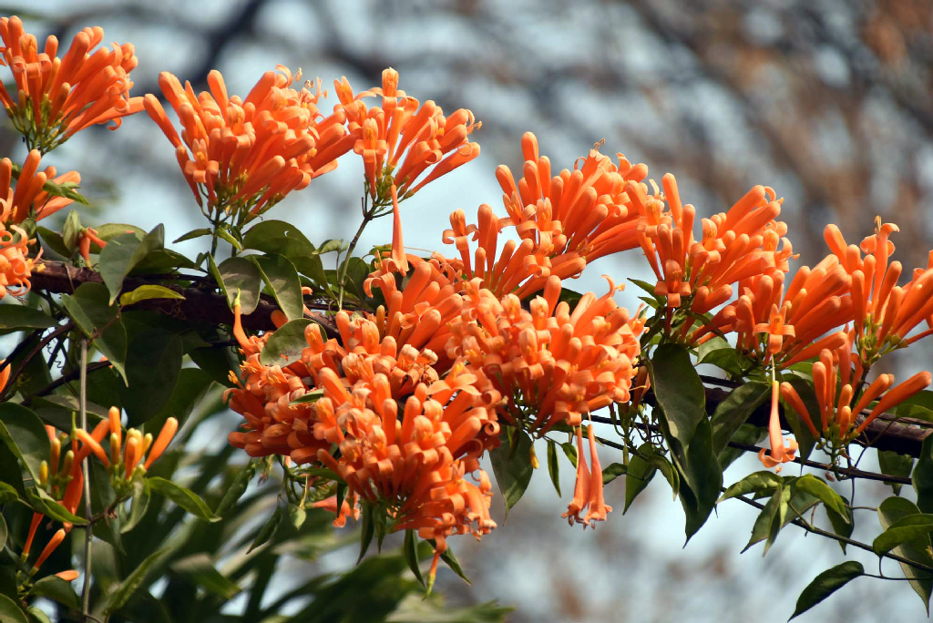 দিনের ছবি (০৪ ফেব্রুয়ারি ২০২৬)