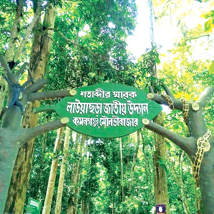 প্রাণবৈচিত্র্য, সুরক্ষা ও ন্যায়বিচার