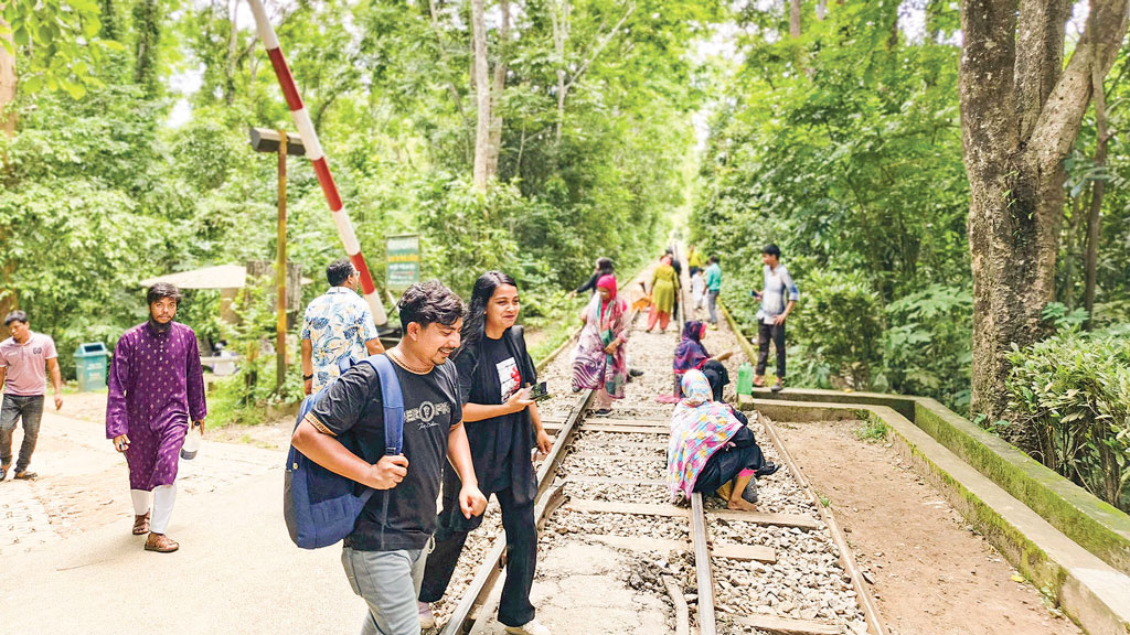 বনের রেলপথে ঝুঁকির যাত্রা
