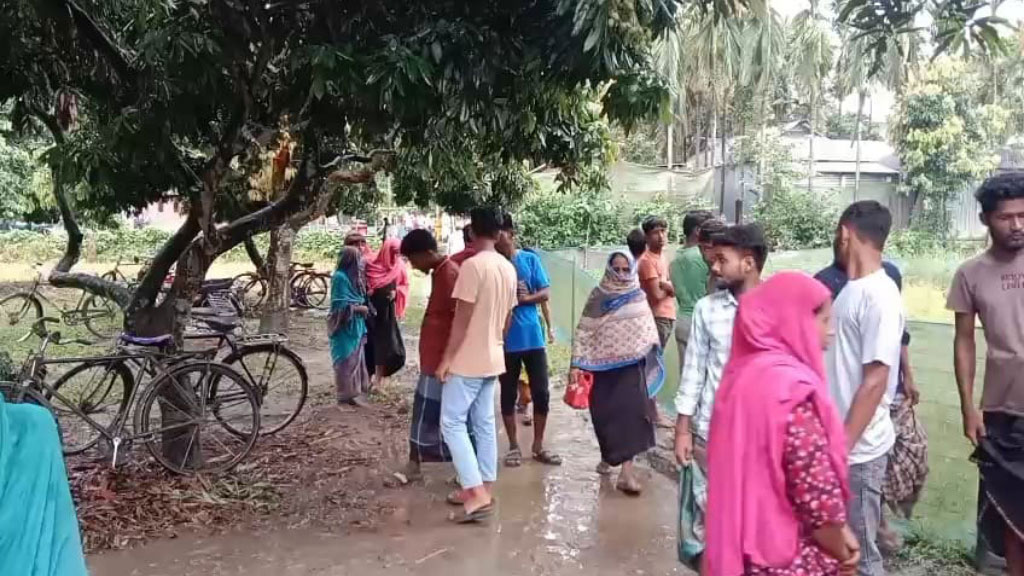 গরু বাঁচাতে গিয়ে প্রাণ গেল মা-ছেলের