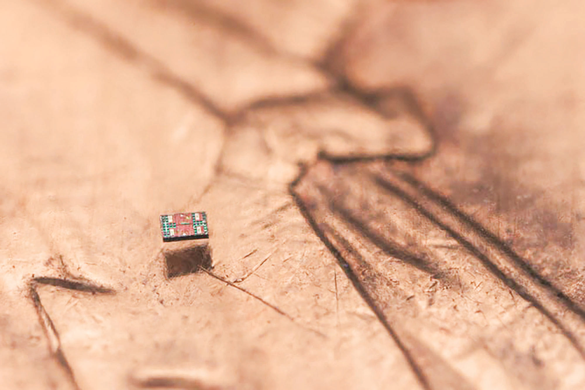 লবণের দানার চেয়ে ছোট রোবট