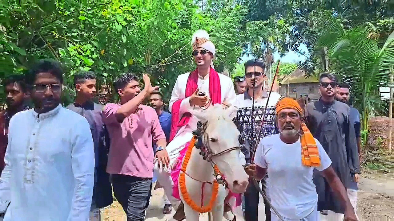 ঘোড়ায় বর, পালকিতে কনে, বরযাত্রীরা এলেন মহিষ ও গরুর গাড়িতে