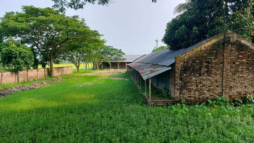 মাগুরায় ‘ভুতুড়ে’ কলেজের ভবন নির্মাণে দেড় কোটি টাকা বরাদ্দ, প্রশ্নের মুখে প্রকল্প