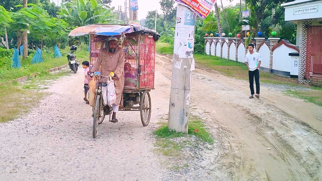 সড়কের মাঝখানে বৈদ্যুতিক খুঁটি, আটকে আছে শ্রীপুর বাইপাসের কাজ
