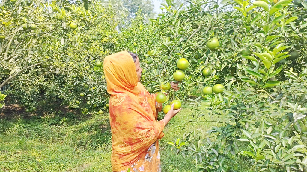 তিনি এখন ‘মাল্টা ভাবি’