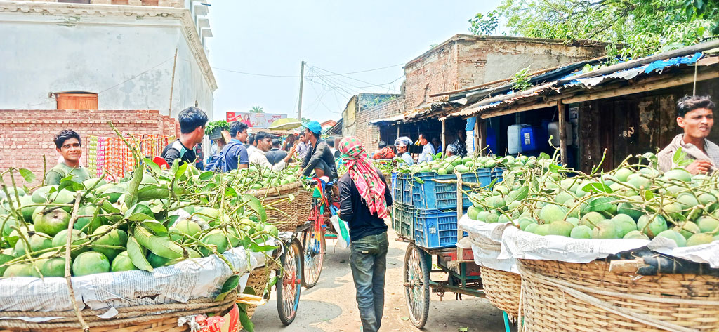 চাঁপাইনবাবগঞ্জ: সংরক্ষণাগার নেই, নষ্ট হয় আম