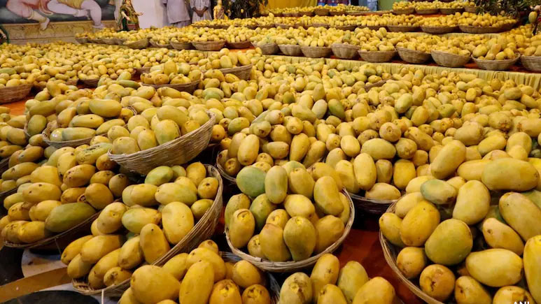 যুক্তরাষ্ট্রে ঢুকতে পারল না ভারতীয় আমের চালান, ক্ষতি ৫ লাখ ডলার