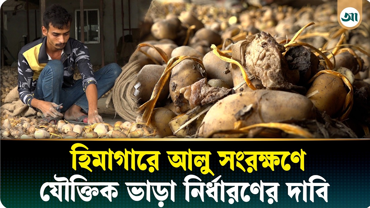 ‘অনেক ধৈর্য ধরেছি, দ্রুত সিদ্ধান্ত চাই’—হুঁশিয়ারি আলু ব্যবসায়ীদের