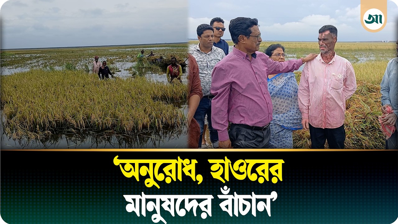 হাওরে ক্ষতিগ্রস্ত কৃষকদের ৩ মাসের খাবারের আশ্বাস দিলেন এমপি ফজলুর রহমান