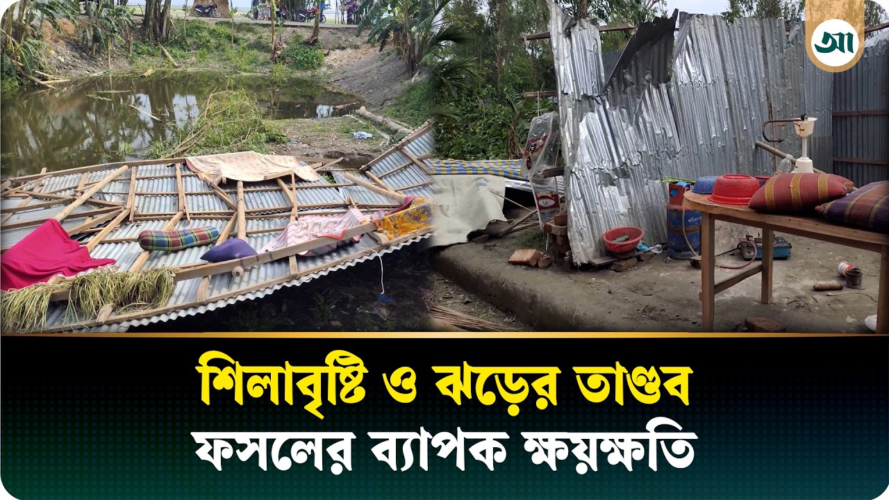 হঠাৎ শিলাবৃষ্টি ও ঝড়, লালমনিরহাটে ব্যাপক ক্ষয়ক্ষতি