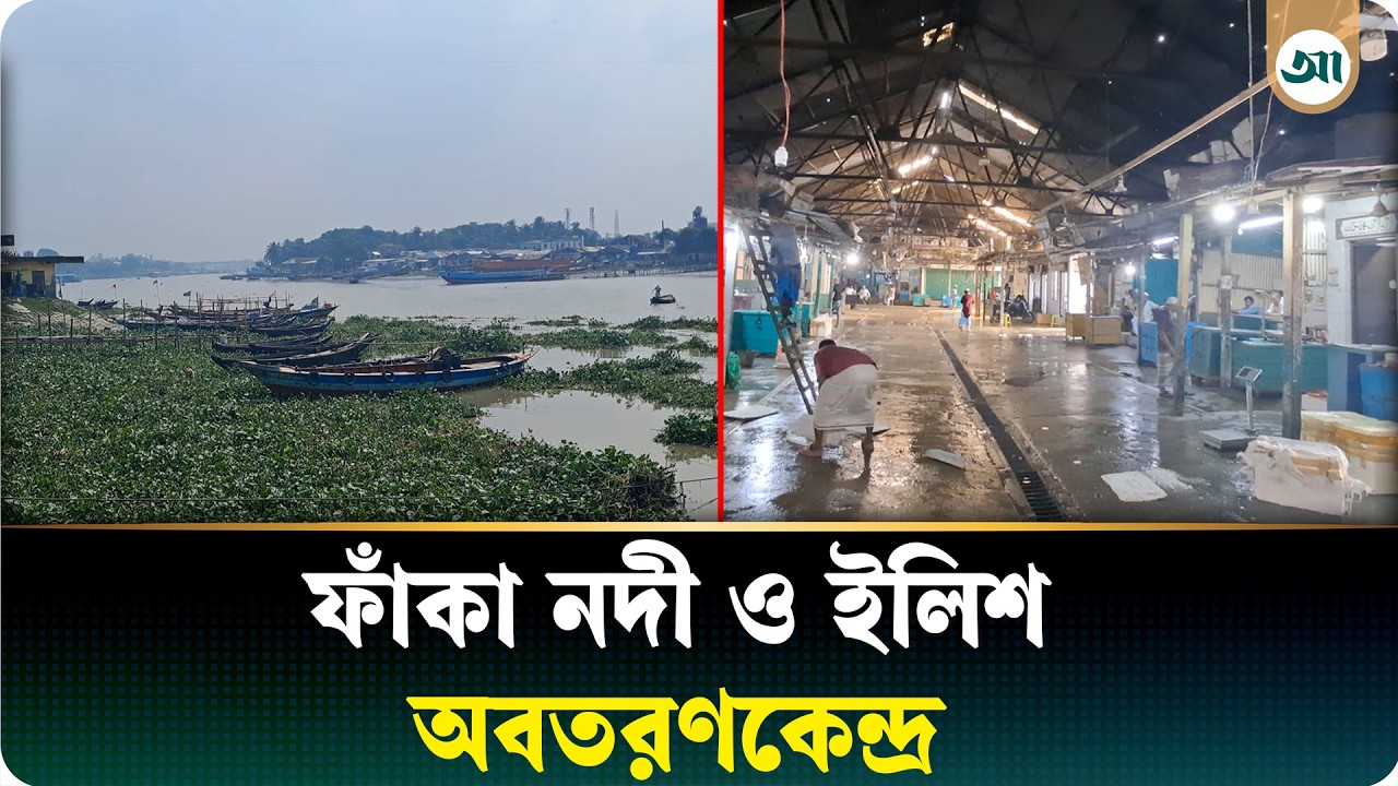 ইলিশ প্রজনন রক্ষায় নিষেধাজ্ঞা, ফাঁকা নদী ও ইলিশ অবতরণকেন্দ্র