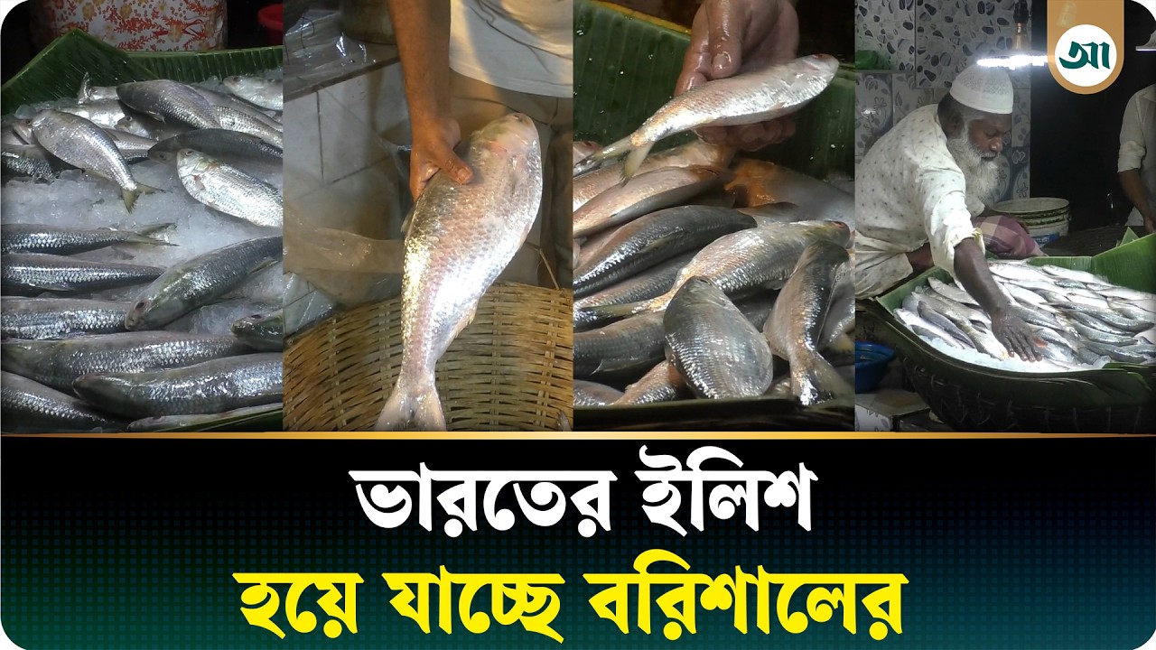 ভারত থেকে আসা ইলিশ বিক্রি হচ্ছে ‘বরিশালের’ নামে