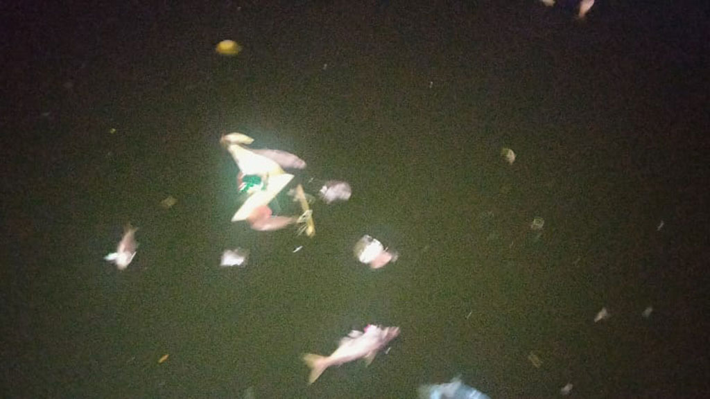 বরিশালের ঐতিহ্যবাহী বিবির পুকুরে ভেসে উঠছে মরা মাছ, ছড়াচ্ছে দুর্গন্ধ