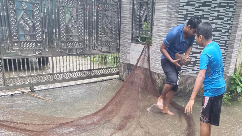 মাছে ভাইরাস সংক্রমণ আর বৃষ্টি-জোয়ারে ডুবেছে ঘের, দুশ্চিন্তায় মাছচাষিরা