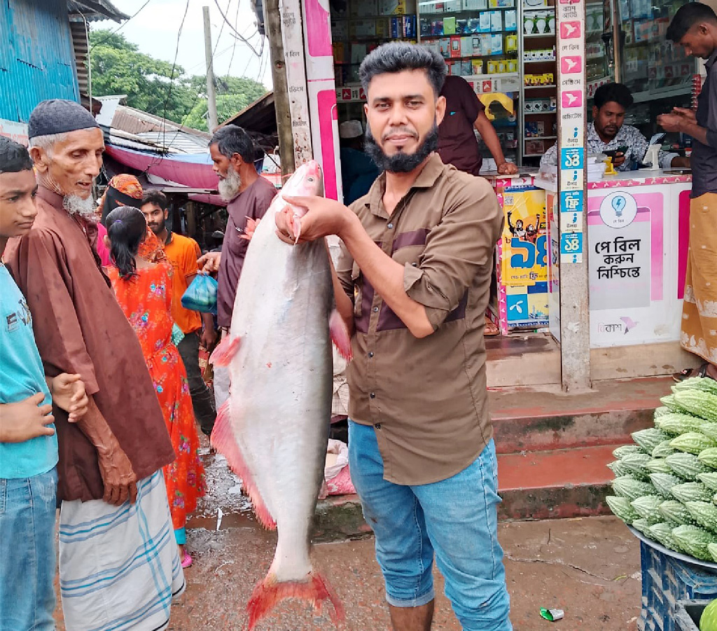 পায়রা নদীতে বড়শিতে উঠল ১১ কেজির পাঙাশ