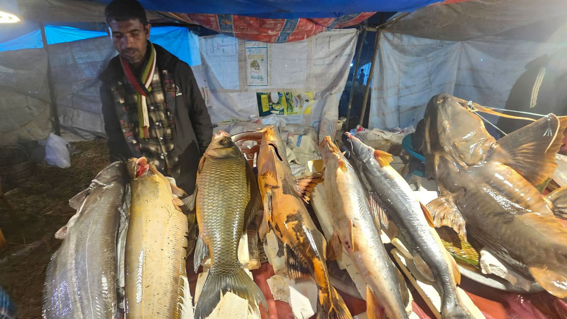 মৌলভীবাজারের শেরপুরে বসেছে শতবর্ষী মাছের মেলা