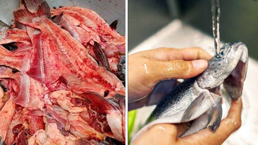 মাছের রক্ত বা পানি লাগলে কি কাপড় নাপাক হয়ে যায়
