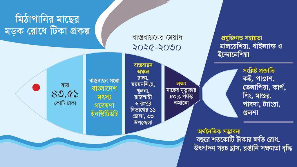 টিকায় বদলাবে মাছ চাষের হিসাব