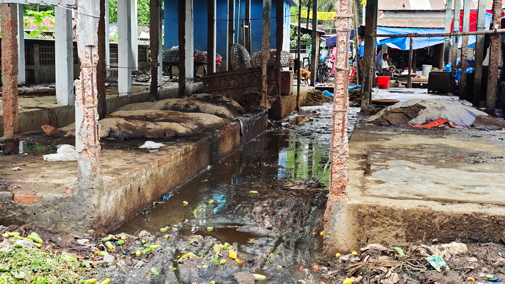 মাছ বাজার যেন ময়লার ভাগাড়, দুর্গন্ধে অতিষ্ঠ ক্রেতা-বিক্রেতারা