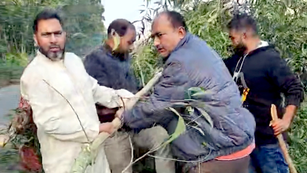 ঢাকা-ভাঙ্গা এক্সপ্রেসওয়েতে গাছ ফেলে ব্যারিকেডের চেষ্টা, শিবচর বিএনপির নেতৃত্বে অপসারণ