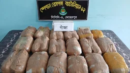 চুয়াডাঙ্গায় সাড়ে ১৮ কেজি গাঁজাসহ নারী আটক