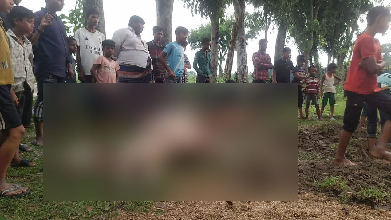 বজ্রপাতে মরিচখেতে কৃষকের মৃত্যু, তিনটি গরুর প্রাণহানি