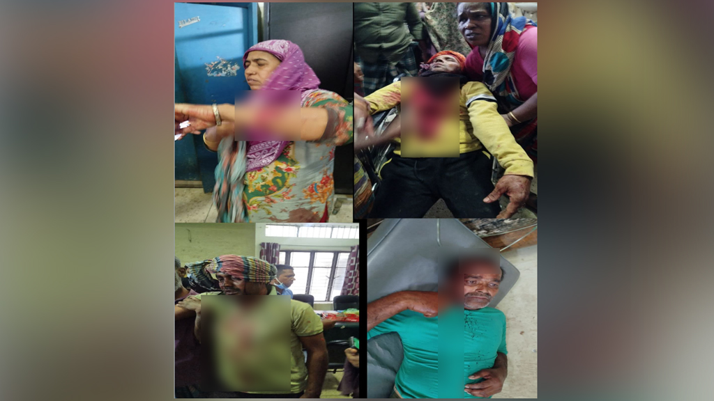 মেঘনায় আওয়ামী লীগ ও বিএনপি নেতা-কর্মীদের সংঘর্ষ, আহত ৫