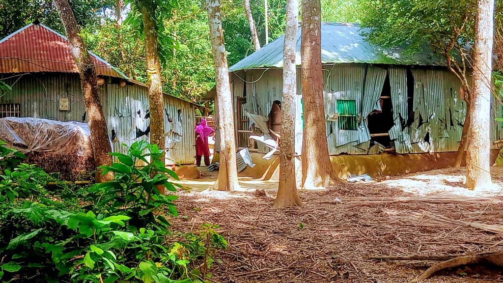 আধিপত্য নিয়ে সংঘর্ষ: মাগুরায় ৩০ বাড়িতে ভাঙচুর-লুটপাট, গুরুতর আহত ৫