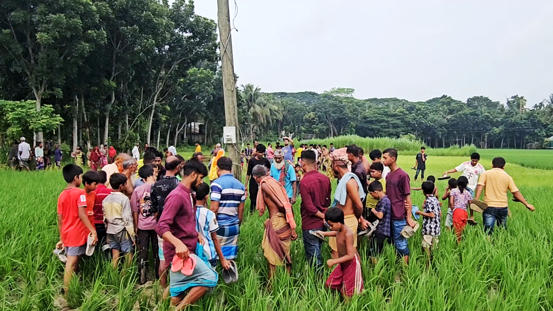 ট্রান্সফরমার চুরি করতে গিয়ে বিদ্যুতায়িত হয়ে মৃত্যু, পরিচয় মেলেনি