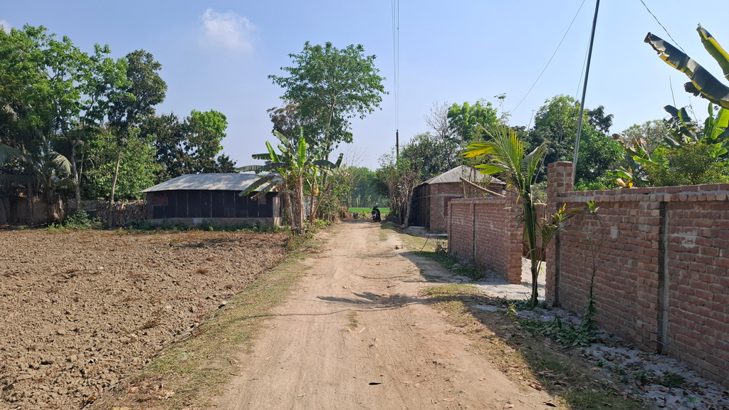 ধর্ষণে মারা যাওয়া মাগুরার শিশুটিকে দাফনের প্রস্তুতি বাড়িতে