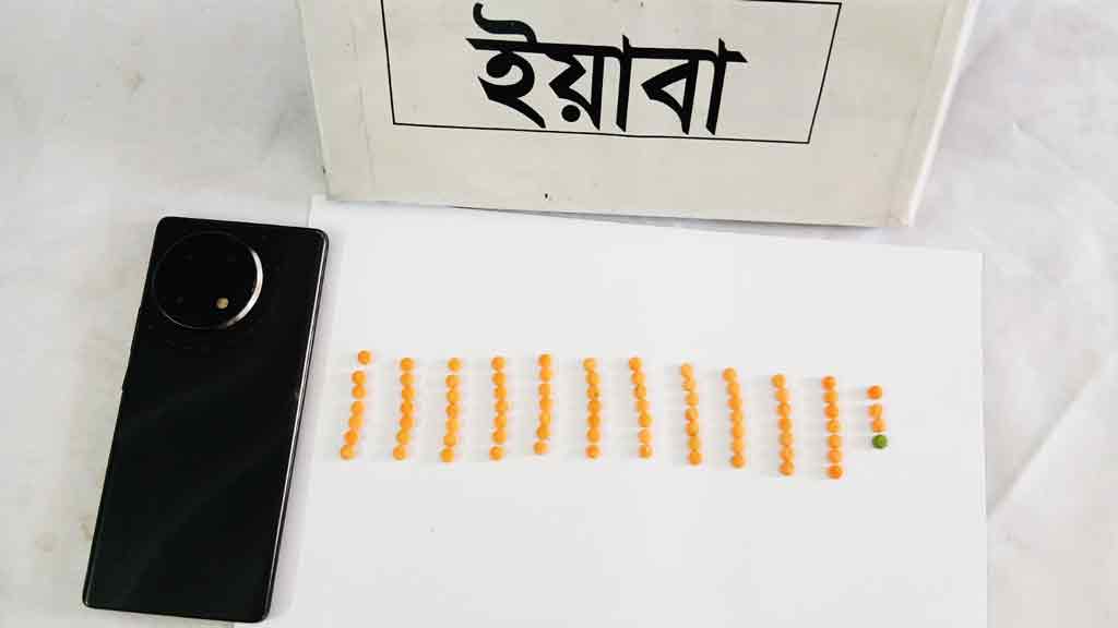 গাংনীতে ইয়াবাসহ যুবক আটক