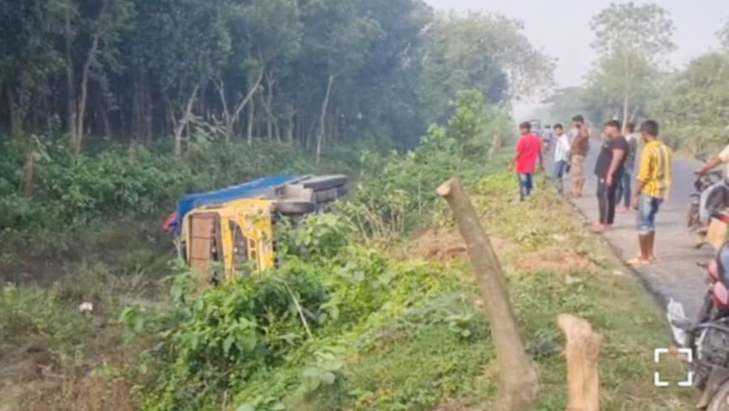 মেহেরপুর-কুষ্টিয়া সড়কের গাছ ফেলে গণ ডাকাতি