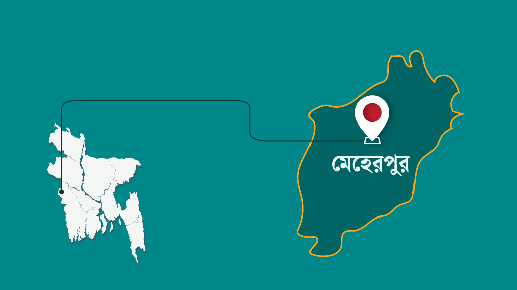 মেহেরপুরের দুটি আসনেই জামায়াত জোট প্রার্থী বিজয়ী