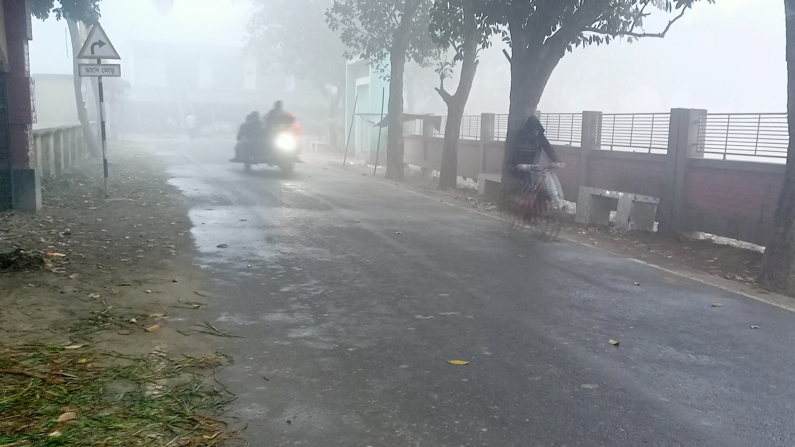 ঘন কুয়াশা ও তীব্র শীতে বিপর্যস্ত মেহেরপুরের জনজীবন, তাপমাত্রা ৮ ডিগ্রি