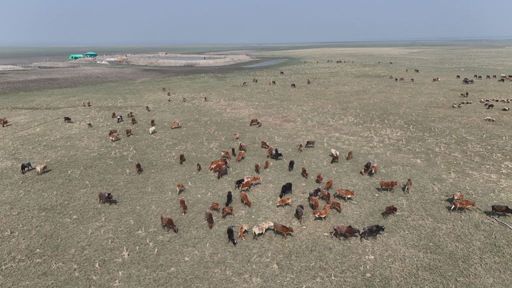 দিনের ছবি (০৯ ডিসেম্বর, ২০২৫)