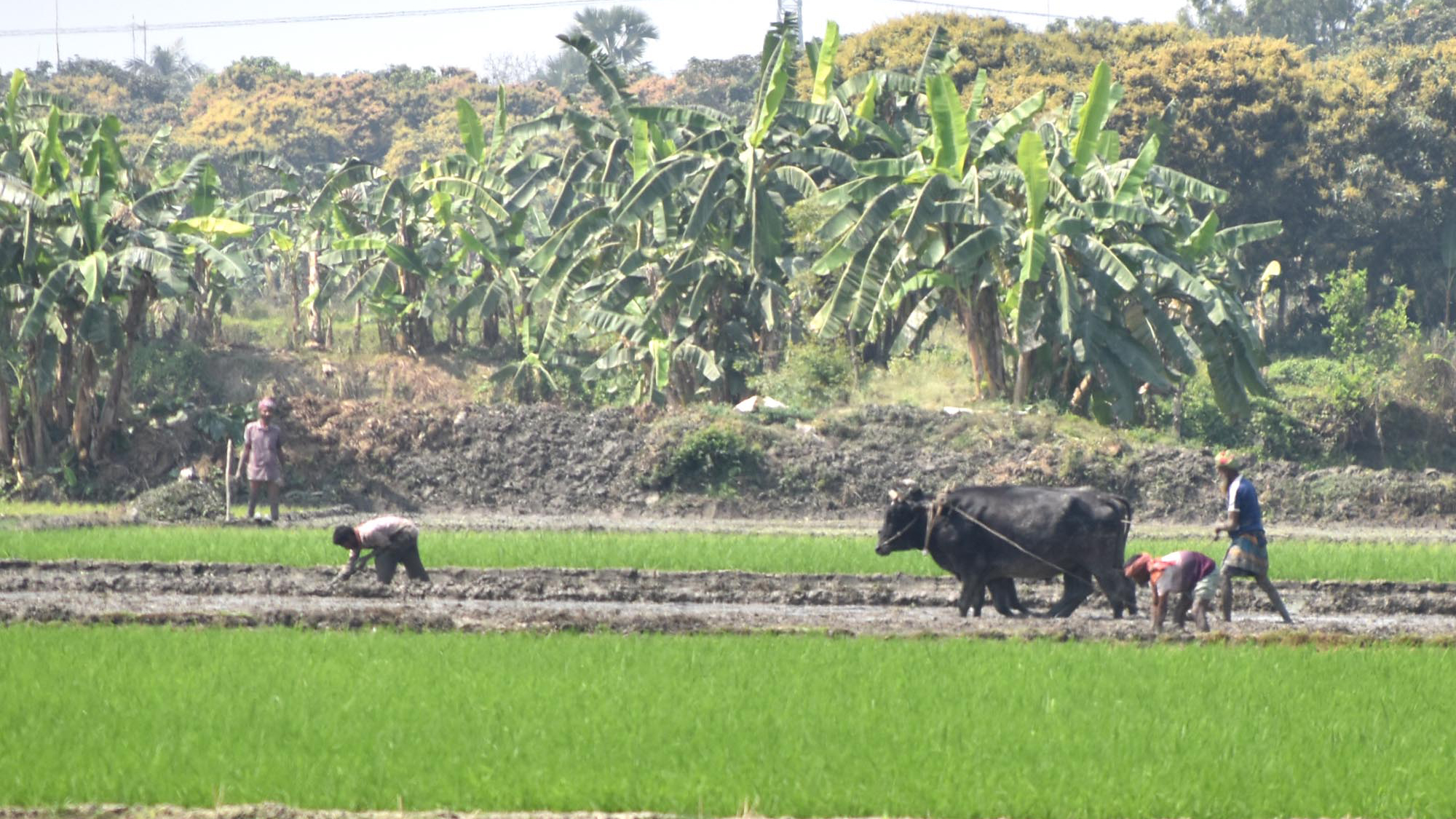 দিনের ছবি (০৫ মার্চ ২০২৬)