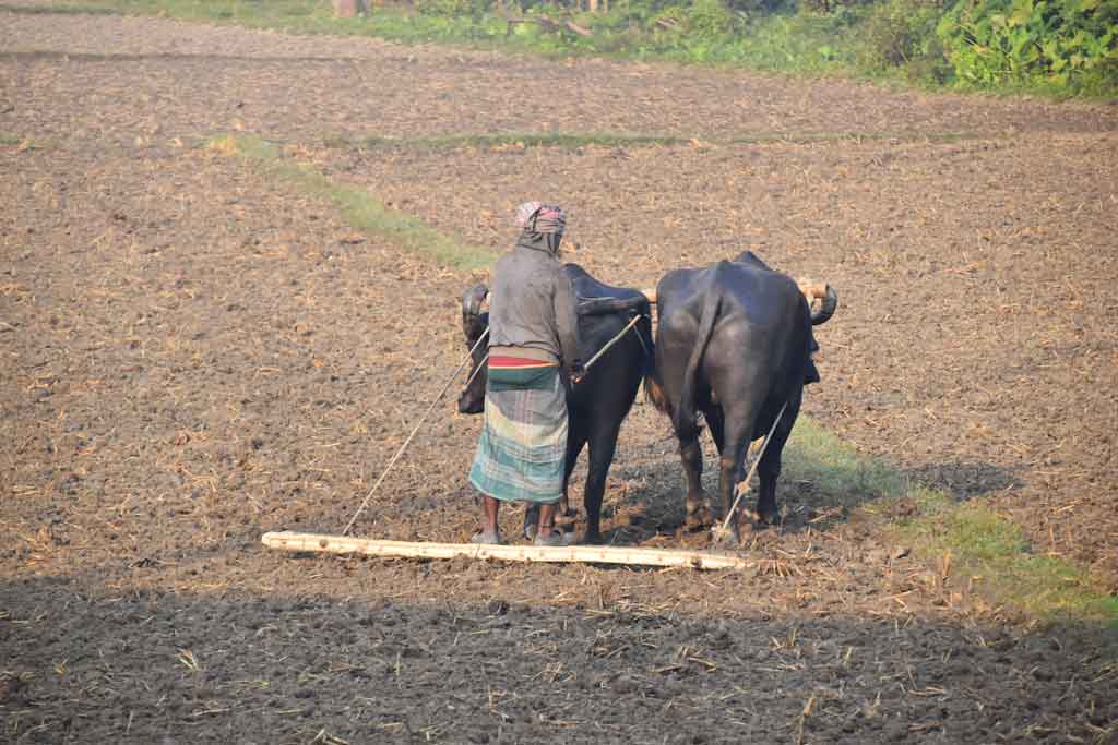 দিনের ছবি (১৩ ডিসেম্বর ২০২৪)