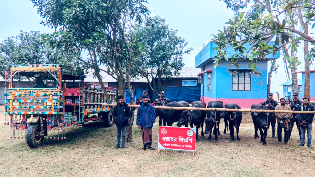 ভারতীয় মহিষসহ চার যুবক গ্রেপ্তার