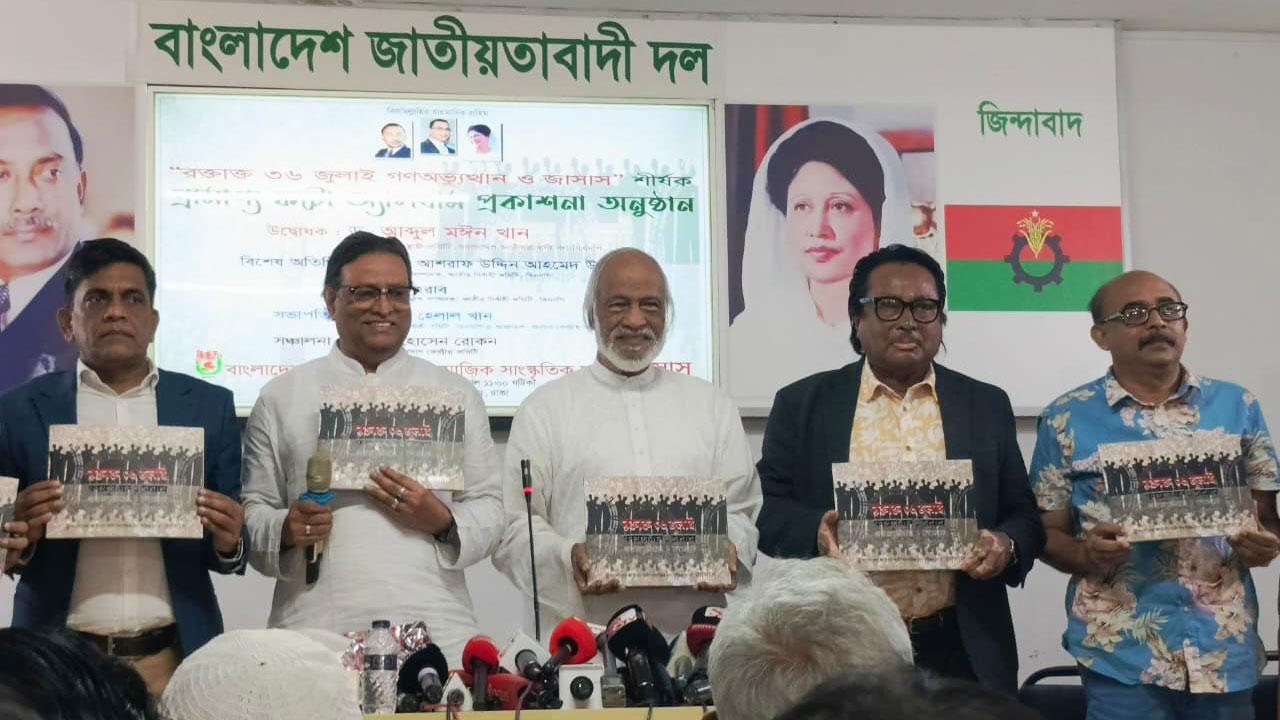 জুলাই আন্দোলনে দূর থেকে নেতৃত্ব দিয়েছেন তারেক রহমান: মঈন খান