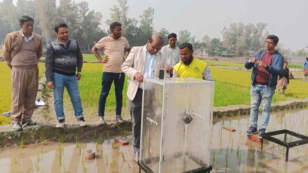বাংলাদেশে পানি সাশ্রয়ী ধান চাষ ও কার্বন নিঃসরণ কমাতে কাজ করবে জাপানের মিৎসুই